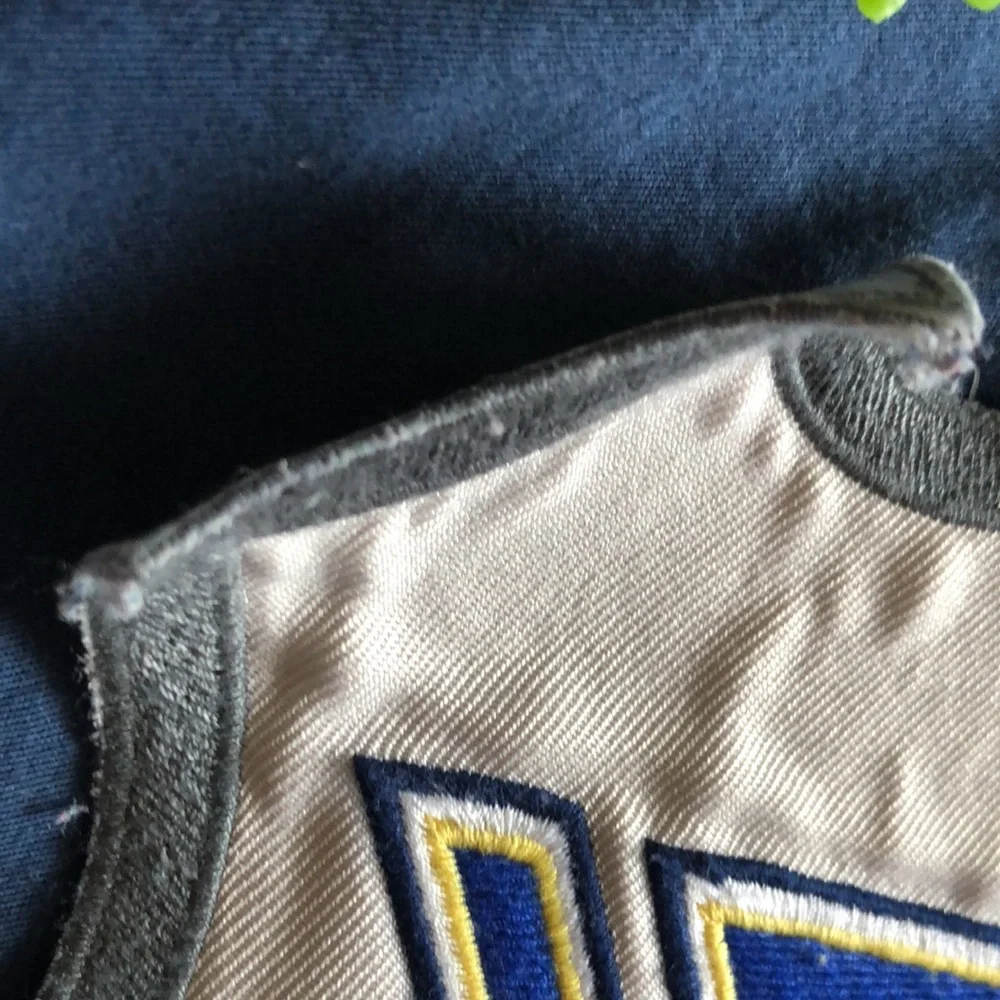 St.Luis Blues Pottery Barn Teen Hockey PBTEEN Hockey Duvet St.Louis Blues  Twin